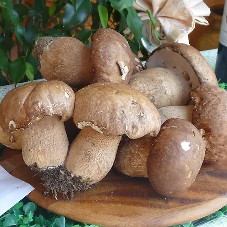 Szálloda Ristorante Corsini