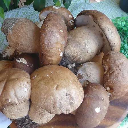 Ristorante Corsini 3* Pavullo nel Frignano