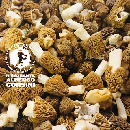 Szálloda Ristorante Corsini 3*