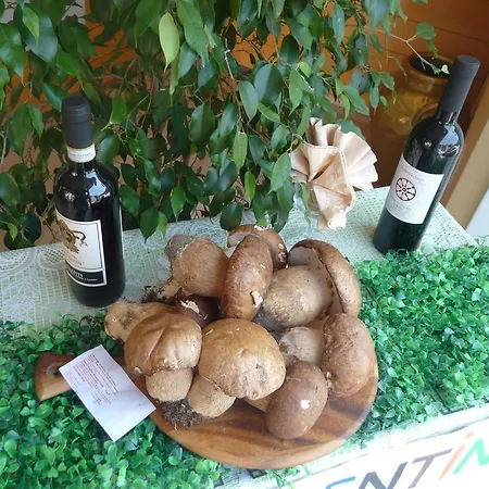 Hotel Ristorante Corsini 3*