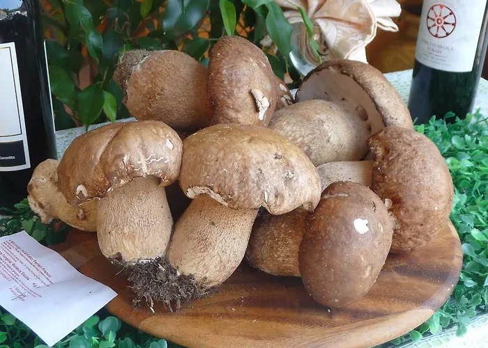 מלון Ristorante Corsini