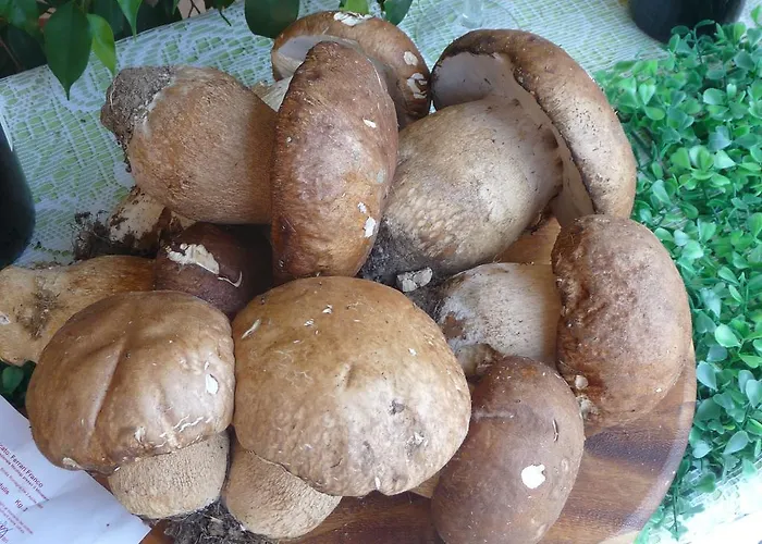 Ristorante Corsini 3* Pavullo nel Frignano