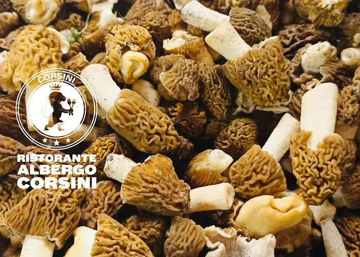 מלון Ristorante Corsini 3*